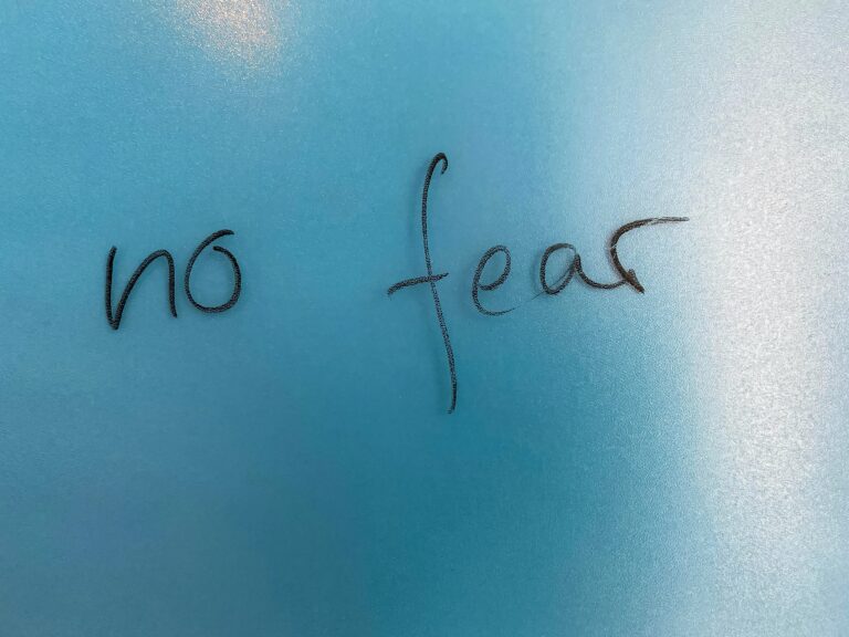 A blue background with the words "No fear"