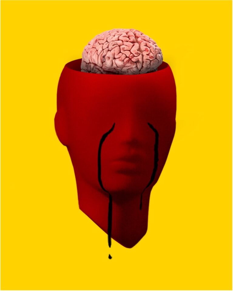 Plastic head with plastic brain inside